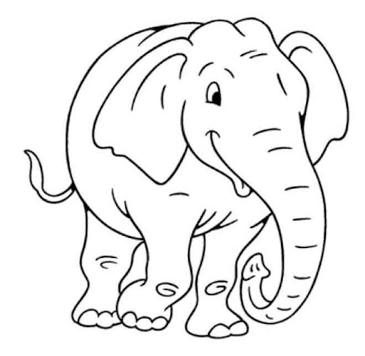 Imagenes de mamiferos especiales para colorear - Imagui