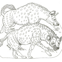 Mamíferos (151).jpg