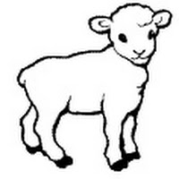 Mamíferos (223).jpg