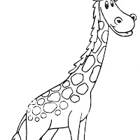 Mamíferos (158).jpg