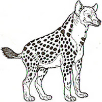 Mamíferos (206).jpg