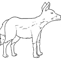 Mamíferos (11).jpg