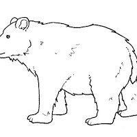Mamíferos (212).jpg