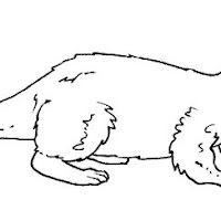 Mamíferos (183).jpg