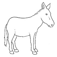 Mamíferos (203).jpg