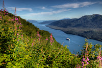 Mt. Roberts, Juneau, Alaska