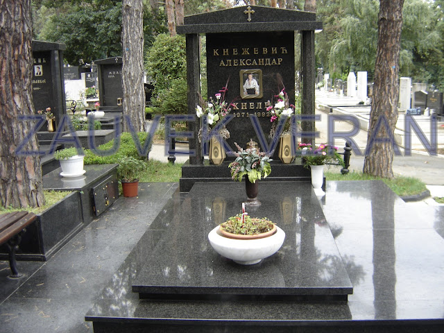 aleksandar knezevic knele