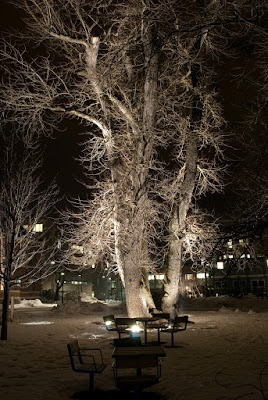 20090128-DSC_0048