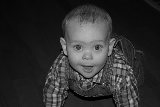 20090212-DSC_0141