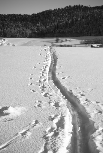 20090215-DSC_0019