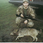 coyote1.jpg