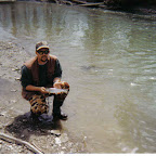 fish1.jpg