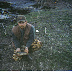 fish2.jpg