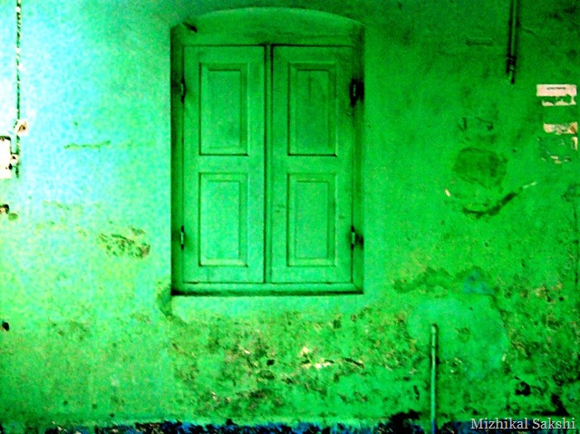 [green window1[11].jpg]