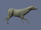 FGC & catboy85 Horse Rigs