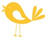 yellow bird