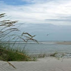 Myrtle Beach SC - Area Photos