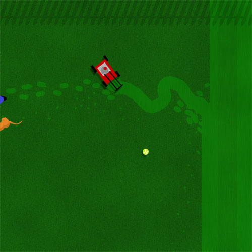 Tim: Grass