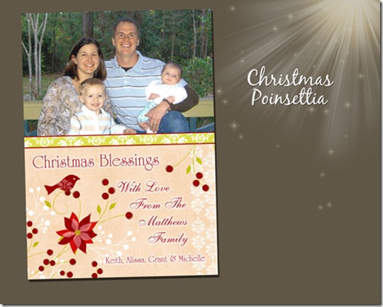 WEBChristmasPoinsettia