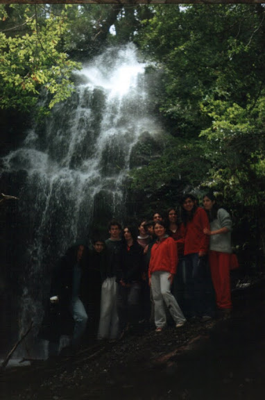 Leño Encendido 03