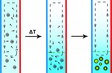 thermal diffusion column production of protocell-like vesicles