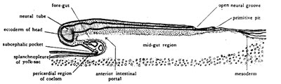 p2.jpg