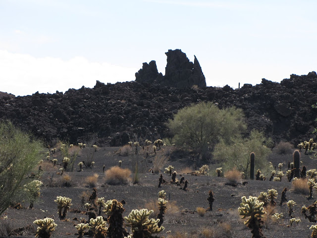 Pinacate