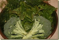 homegrown broccoli