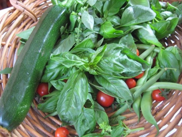 [summer bounty[3].jpg]