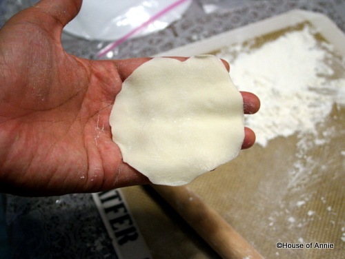 [rolledhomemadedumplingdough2.jpg]