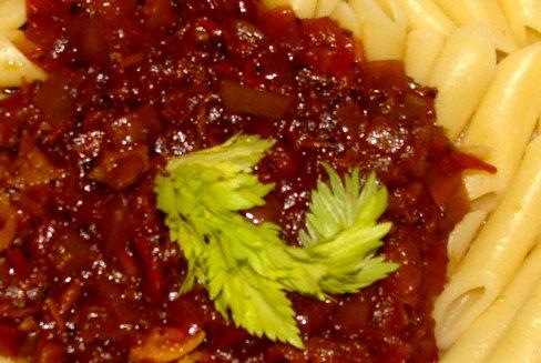 [Turkey Chipotle Sauce-Solar Cooking for Mainstream Cooks[2].jpg]