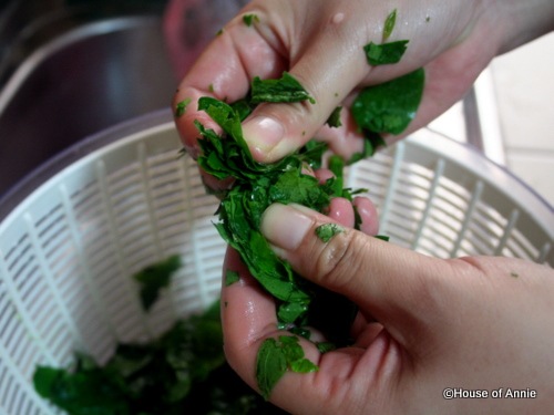 [hand shredding cangkuk manis leaves[4].jpg]