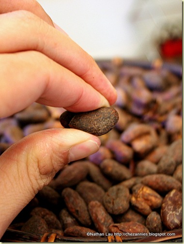 Roasted Chocolate Bean