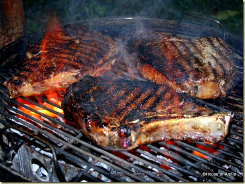  Grilling Ribeye Steaks on the WSM