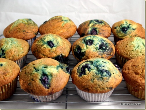 Blueberry Muffins