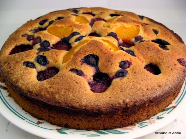 [Plum Blueberry Mandarin Fruit Pastry Baked[2].jpg]