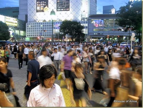 shibuya scramble crossing