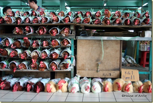 Row Of Chickens