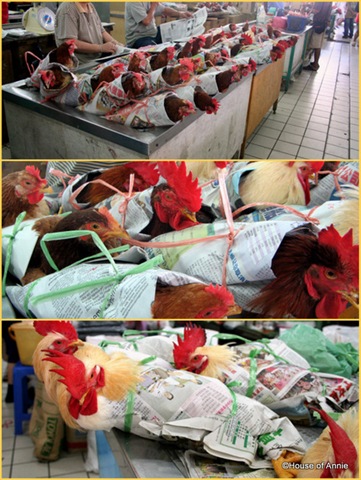 [Sibu Central Market Live Chickens[2].jpg]