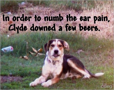 Clyde 06 Clyde 06