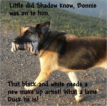 Bonnie 04 Bonnie 04