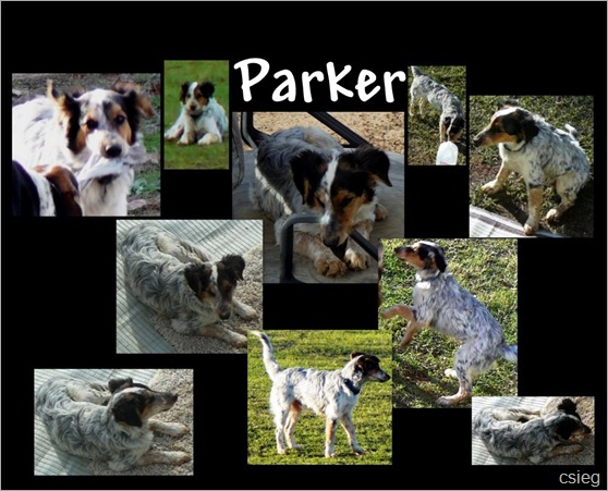 Parker LA-12 Parker LA-12