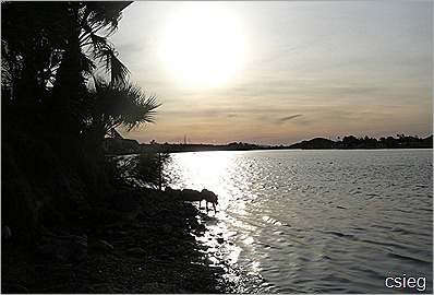 Motorcycle Ride to Lake Havasu 112