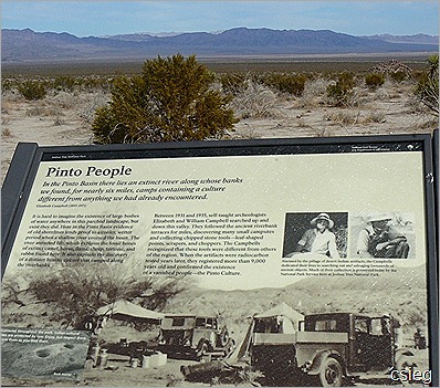 Joshua Tree National Park Trip  (21)