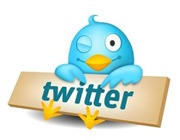 tweet bird Capture tweet bird Capture