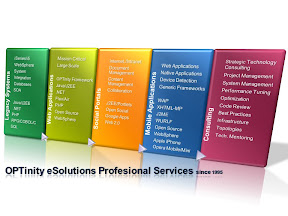 OPTinity eSolutions Proffesional Services.jpg