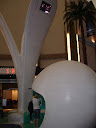 070828-DSC05392.jpg