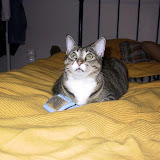 Mina kismysar 2002
