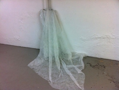 andrea weber