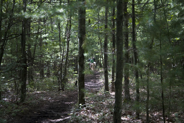 Sunday Ride, Hassanamessit Woods